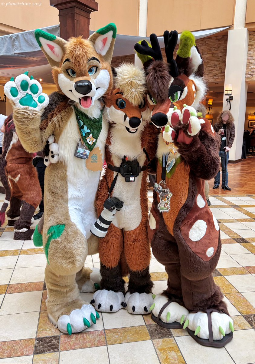 Happy #FursuitFriday! Aren't these fluffs I found at #stratosfur2025 so adorable, and TALL?

#furry #fursuit