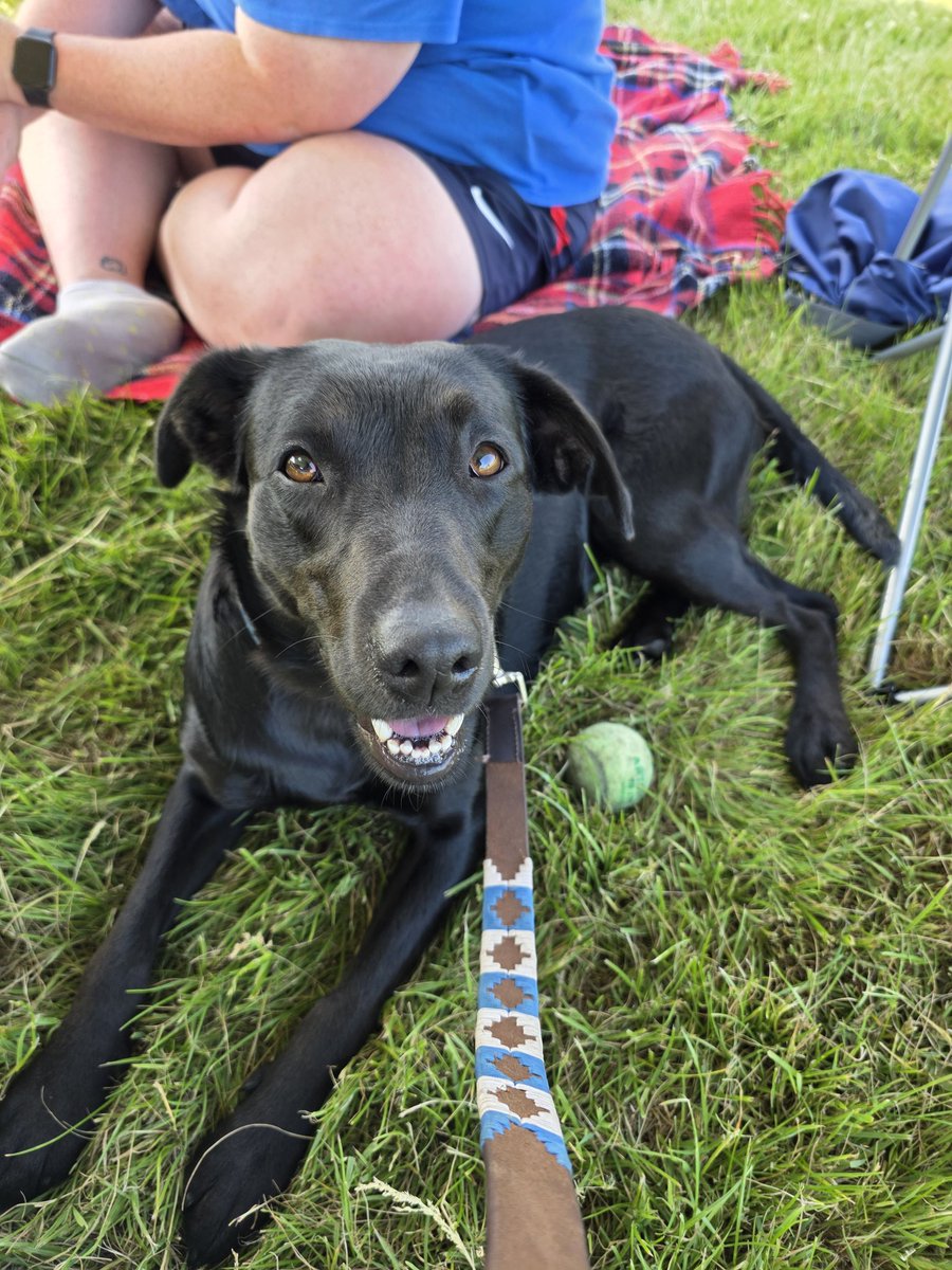 Hannah Vines (@vinezy) on Twitter photo Couldn't be prouder of our Dorney BC juniors volunteering on the stakeboats for <a href="/HenleywRegatta/">Henley Women's Regatta</a> Finished the day with pizza by the river! Top day.....even added a bit of dog sitting in! Couldn't be prouder of our Dorney BC juniors volunteering on the stakeboats for <a href="/HenleywRegatta/">Henley Women's Regatta</a> Finished the day with pizza by the river! Top day.....even added a bit of dog sitting in!