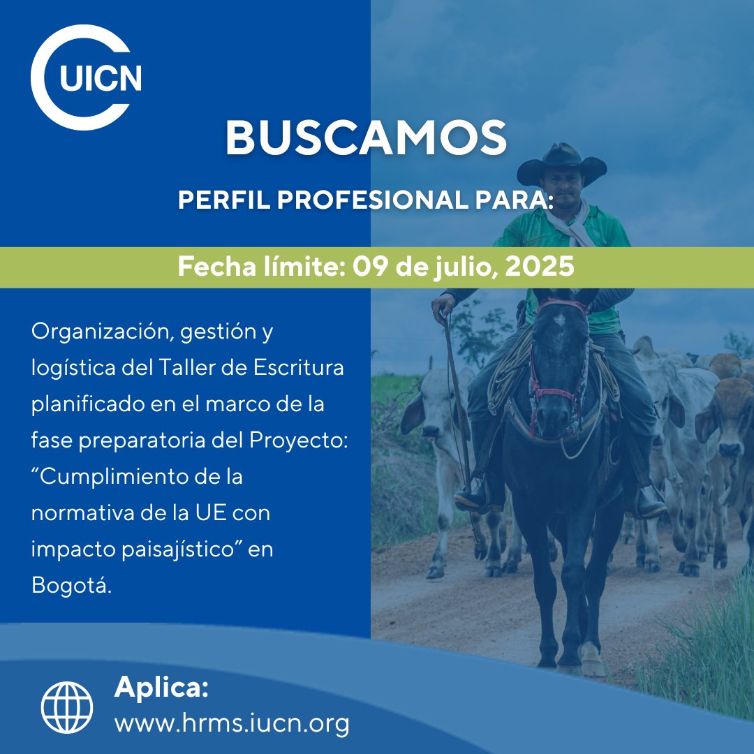 UICN América del Sur (@uicn_sur) on Twitter photo 🚨OPORTUNIDAD LABORAL🚨
Se requiere un/a Consultor/a para la Organización, gestión y logística del Taller de Escritura planificado en en Bogotá #Colombia, proyecto #IKIEUDR.
 
📅 Fecha límite: 09 de julio, 2025
Aplica aquí:
hrms.iucn.org/iresy/index.cf… 🚨OPORTUNIDAD LABORAL🚨
Se requiere un/a Consultor/a para la Organización, gestión y logística del Taller de Escritura planificado en en Bogotá #Colombia, proyecto #IKIEUDR.
 
📅 Fecha límite: 09 de julio, 2025
Aplica aquí:
hrms.iucn.org/iresy/index.cf…