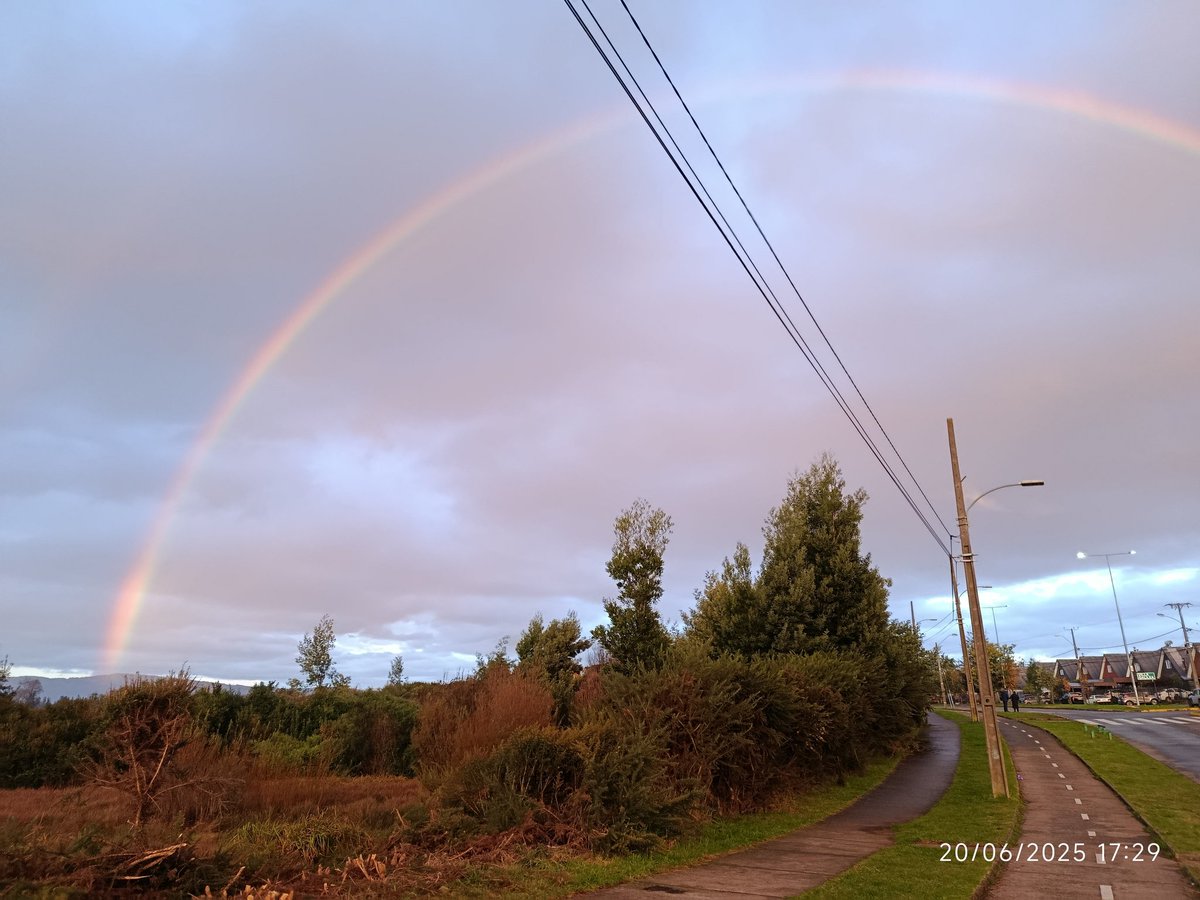 Instalaciones Eléctricas tweet media