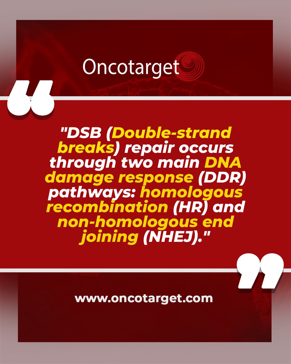 🔆 #PaperSpotlight:
A new #review was #published on June 10, titled “Beyond DNA damage response: Immunomodulatory attributes of CHEK2 in solid tumors.” @nufeinbergmed

🔗 doi.org/10.18632/oncot…

#cancer #quote #DNA #tumors #oncology #oa #peerreview #journal #publishing #meded