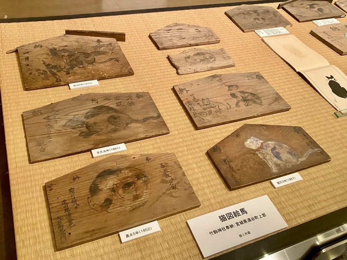 ikkaisai's tweet photo. 宮城県・村田町の「村田町歴史みらい館」で本日から９月２1日まで開催の企画展「いつもそばには猫がいた-猫神信仰と猫供養-」を見学。東北地方を中心に猫に関わる信仰資料・約２３０点が一堂に会しています。（入館無料／写真撮影＆ＳＮＳ投稿も可）この世の全ての猫好きの皆様に見学をお勧めします！ https://t.co/i0ERmSx2hm