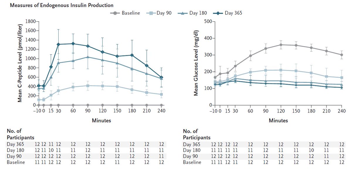 Presented at #ADASciSessions:

Zimislecel is an allogeneic stem cell–derived islet-cell therapy. This phase 1–2 study supports the hypothesis that zimislecel can restore physiologic islet function and thus treat persons with type 1 diabetes. Full study: nej.md/3ZGupbv