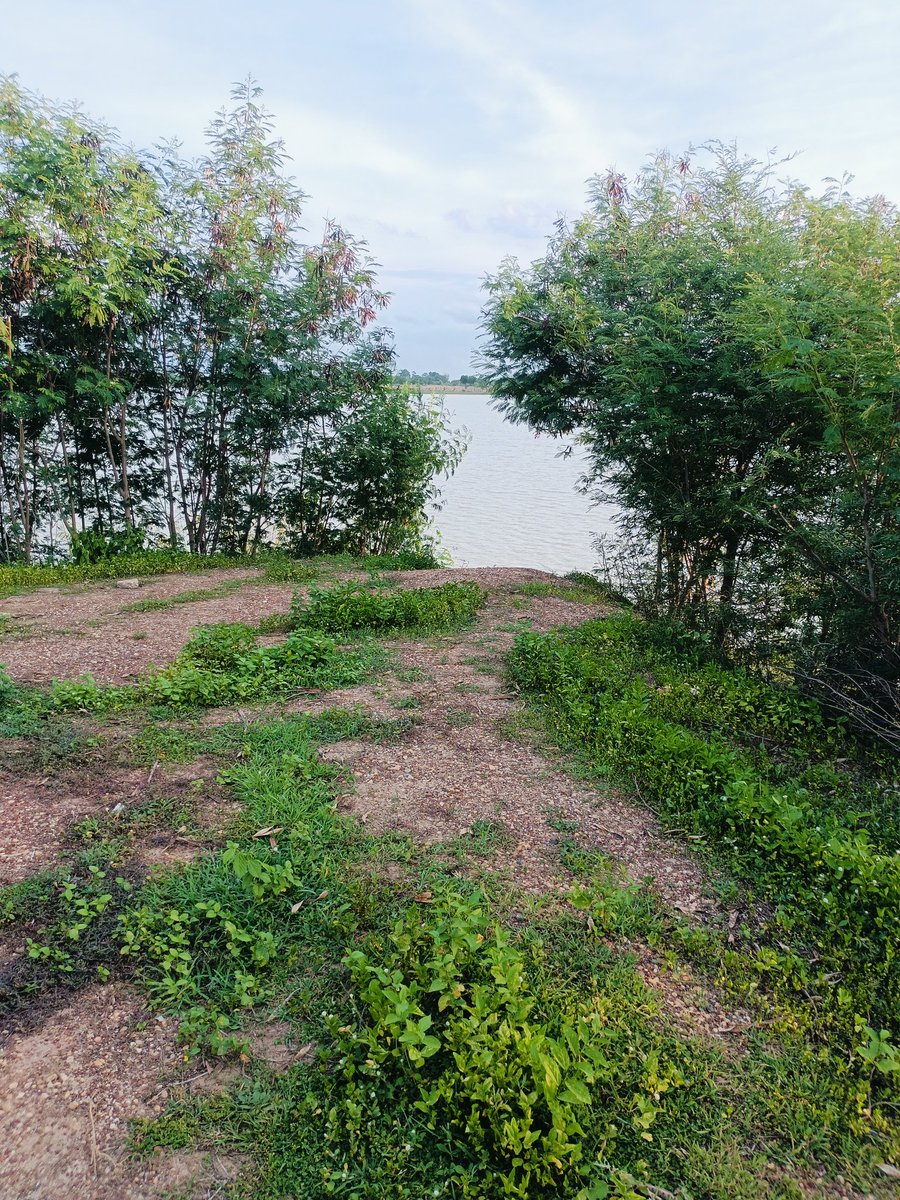 อากาศดี โอดีกัน