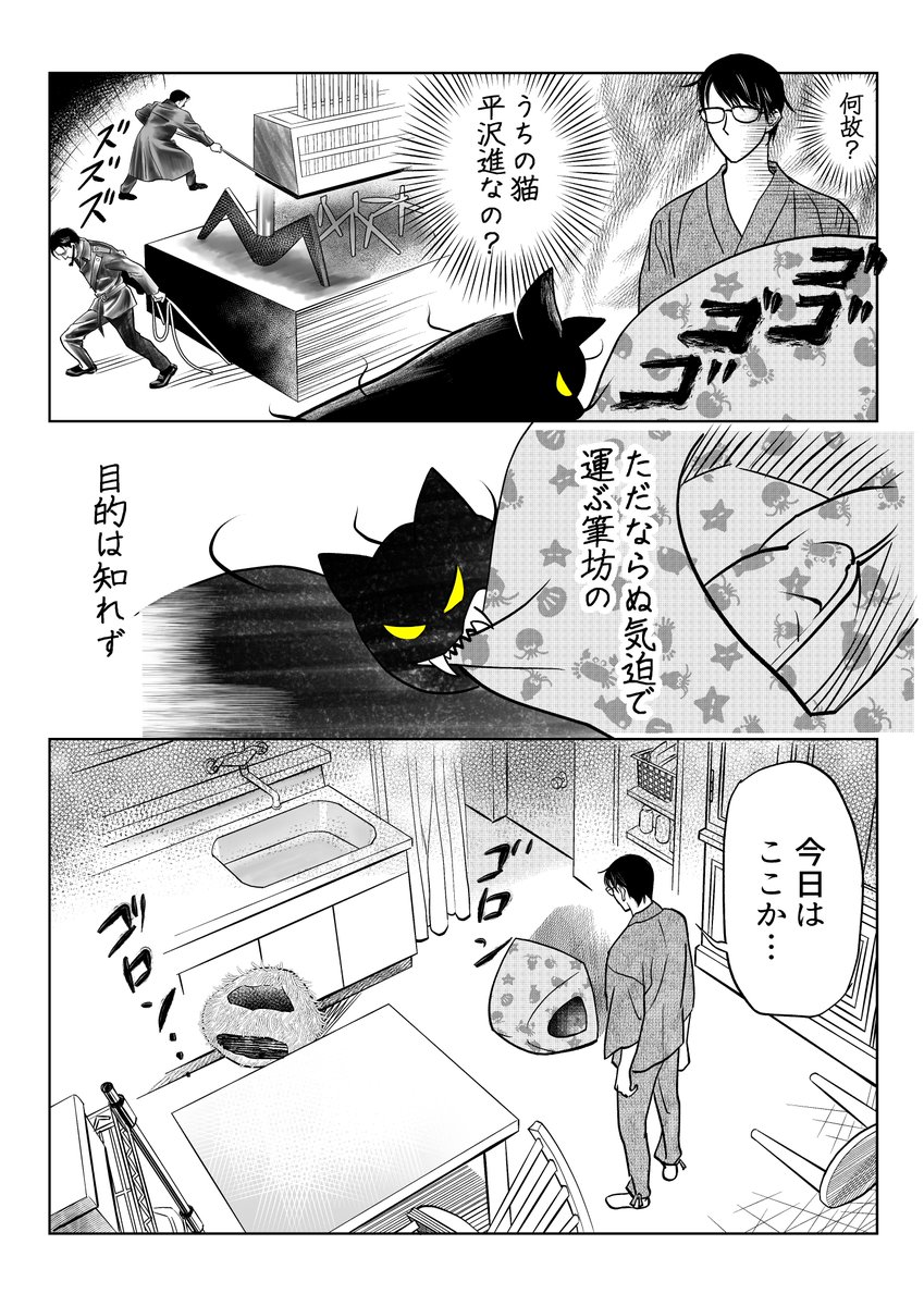うちの猫は様子がおかしい。2025

(3/7) 