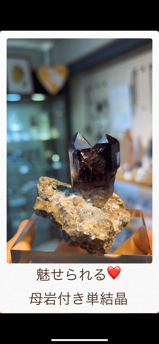 ameri_shimizu's tweet image. 【魅せられる紫💜】
ナミビア・ブランドバーグ産のアメジスト。
母岩付き単結晶、透明感と深い紫が美しい…！

Brandbergの力強いエネルギーをそのままに🪨
#アメジスト #鉱物標本 #Brandberg #天然石好きと繋がりたい