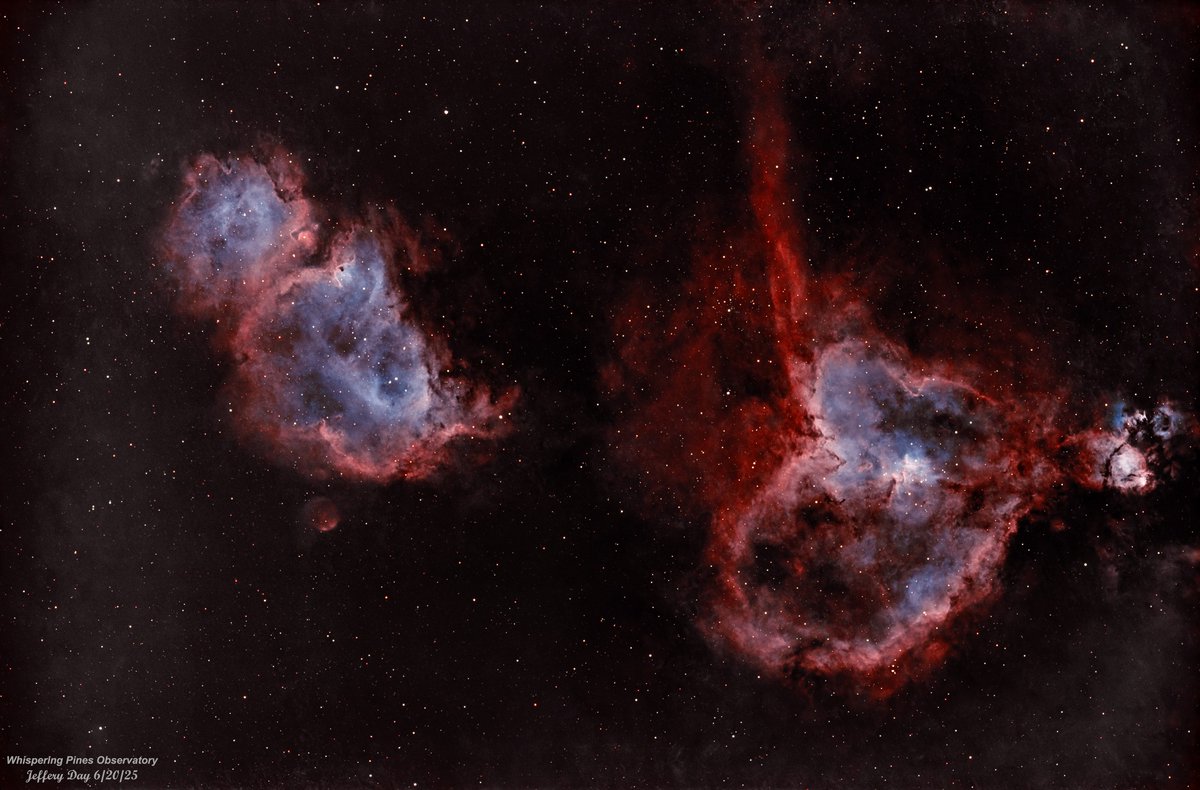 This is a wide field image of IC1805 the Heart nebula and IC1848 the Soul nebula with 150 light images @ 180seconds.
Captured with the Svbony SV555,Asi183mc Pro main 📷,Svbony SV165 guide scope,Asi585mc guide camera, #Optolong L-eNhance Filter,&amp; Eq6r pro mount.
Credit:Jeffery Day