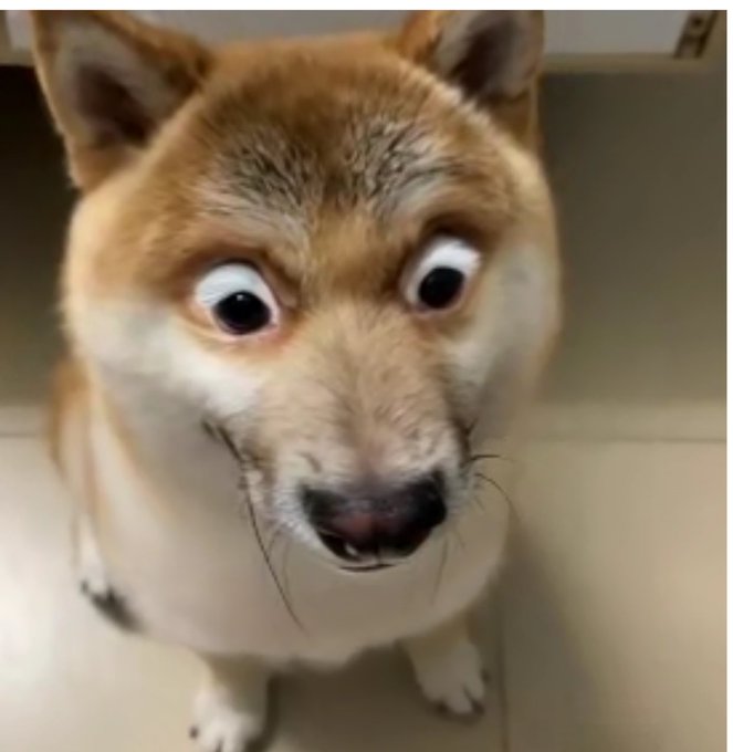 前天发了个帖试着蓝V互关了一波，发现有200个蓝V关注了我，其实80%都是走的“嘴撸”空投的路线，不出意外后面KOL要比散户都要多了，推特上会充斥着各种AI分析文和评论区互刷