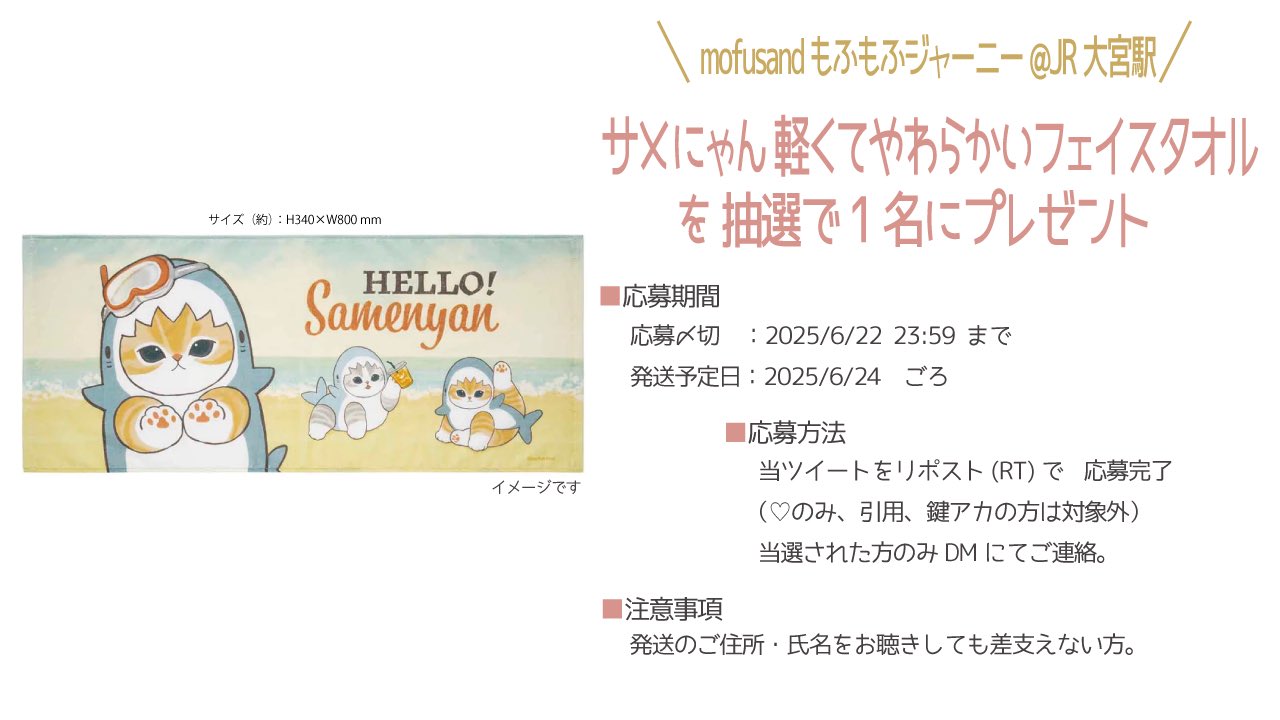 本日中に売れなければ300円❗️最新作✨ポスカサイズ額付き「千載一遇にゃんこ」 にょもにゃん (@Kyu_01045) / X