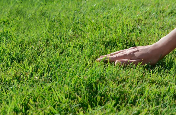 gthrt ⌘ tweet media