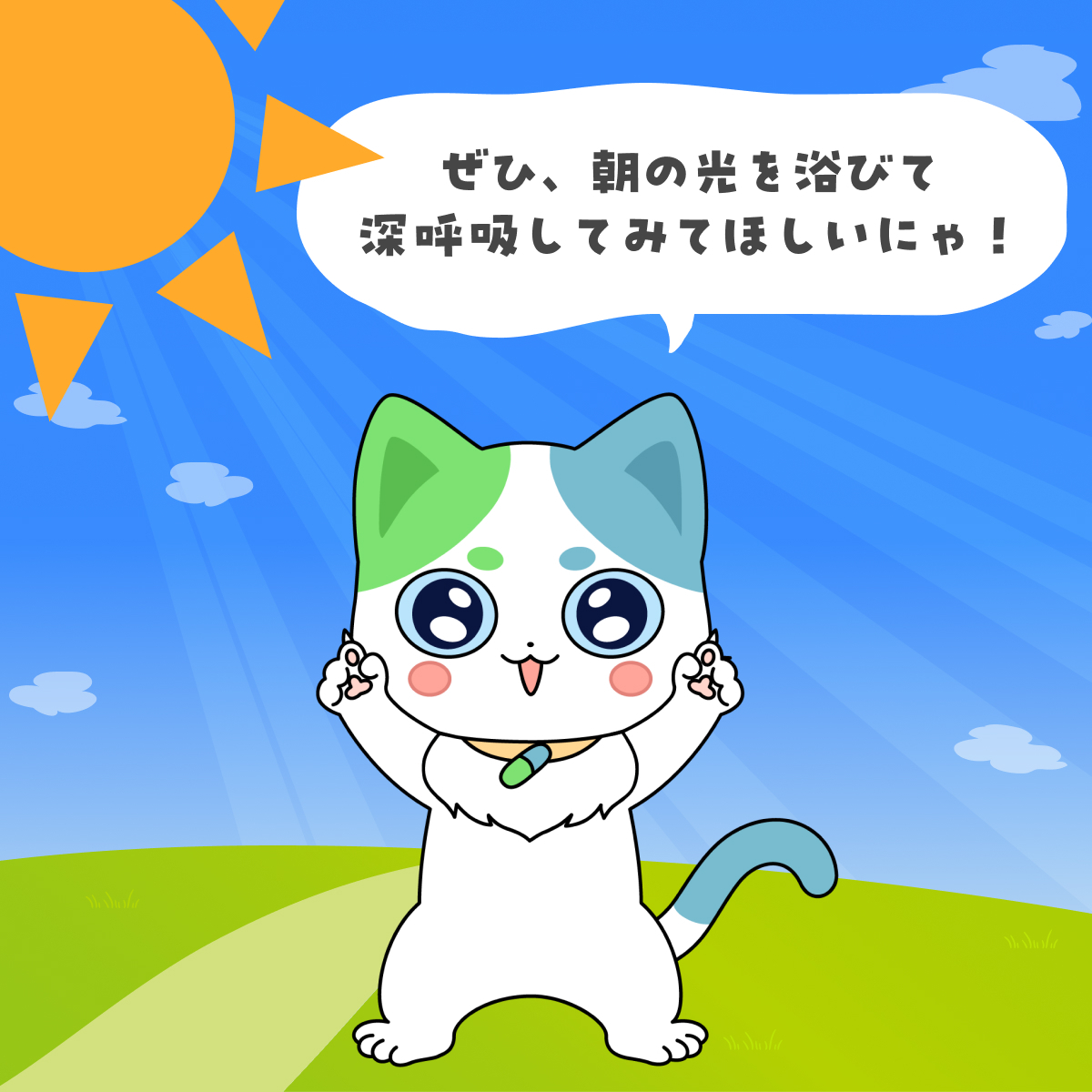 全国20名限定当選品 第一三共 ヘルスケア ねこいちさん ぬいぐるみグッズセット ねこいちさん｜第一三共ヘルスケア