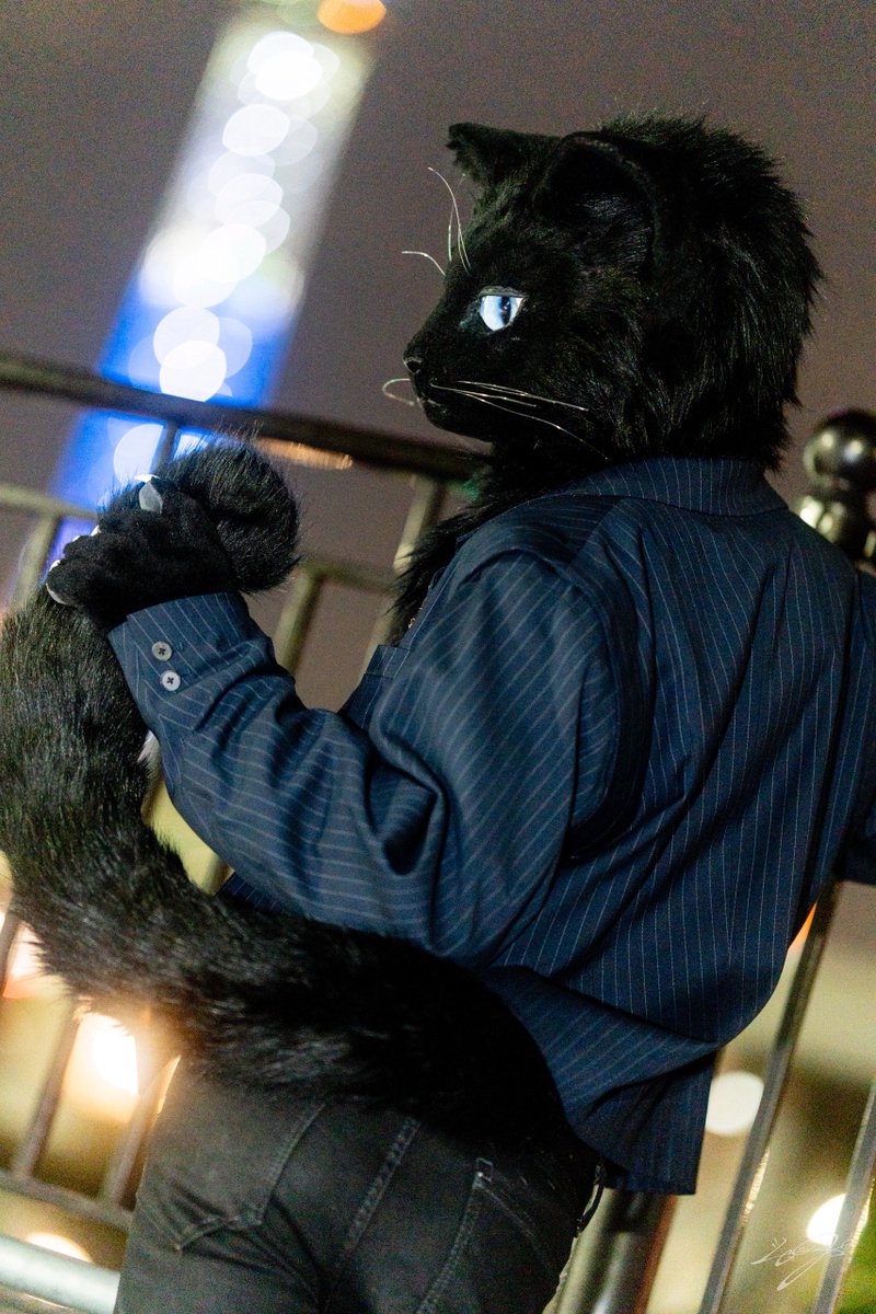 #キャラの横顔選手権

📷<a href="/RecCreat/">ぜが</a>