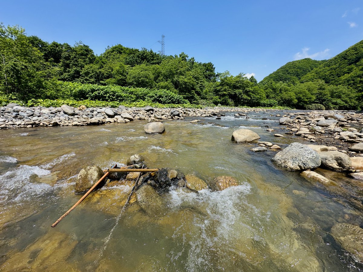 というわけで今日は砂金掘りです。これが北海道のド田舎の暮らしだ…我が幼少の頃よりの生活だ。こんなこと平成の半ばでもやってたというのがねえ。ヒグマは隣人。