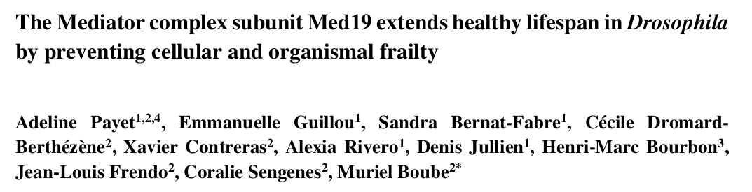 Med19: Anti-aging hero or cancer villain? 🧬
Today's research shows Med19 upregulation:
✅ Literally almost doubles lifespan!
⚠️ BUT is overexpressed in human cancers (lung, liver, etc)
Will it help or induce cancers in humans?
Thankfully: Flies showed no tumors with Med19 boost!