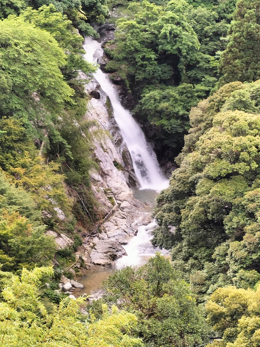 RETURN_HORNET's tweet image. #ホーネット250
2ヶ月振りに朝活ソロツーで
新規ルート開拓も兼ねて観音の滝へ
日本の滝百選らしく、いい感じだが
今は遊歩道が閉鎖されててちょっと
残念、帰りはいつものダム公園の
キッチンカーのホットドッグで〆