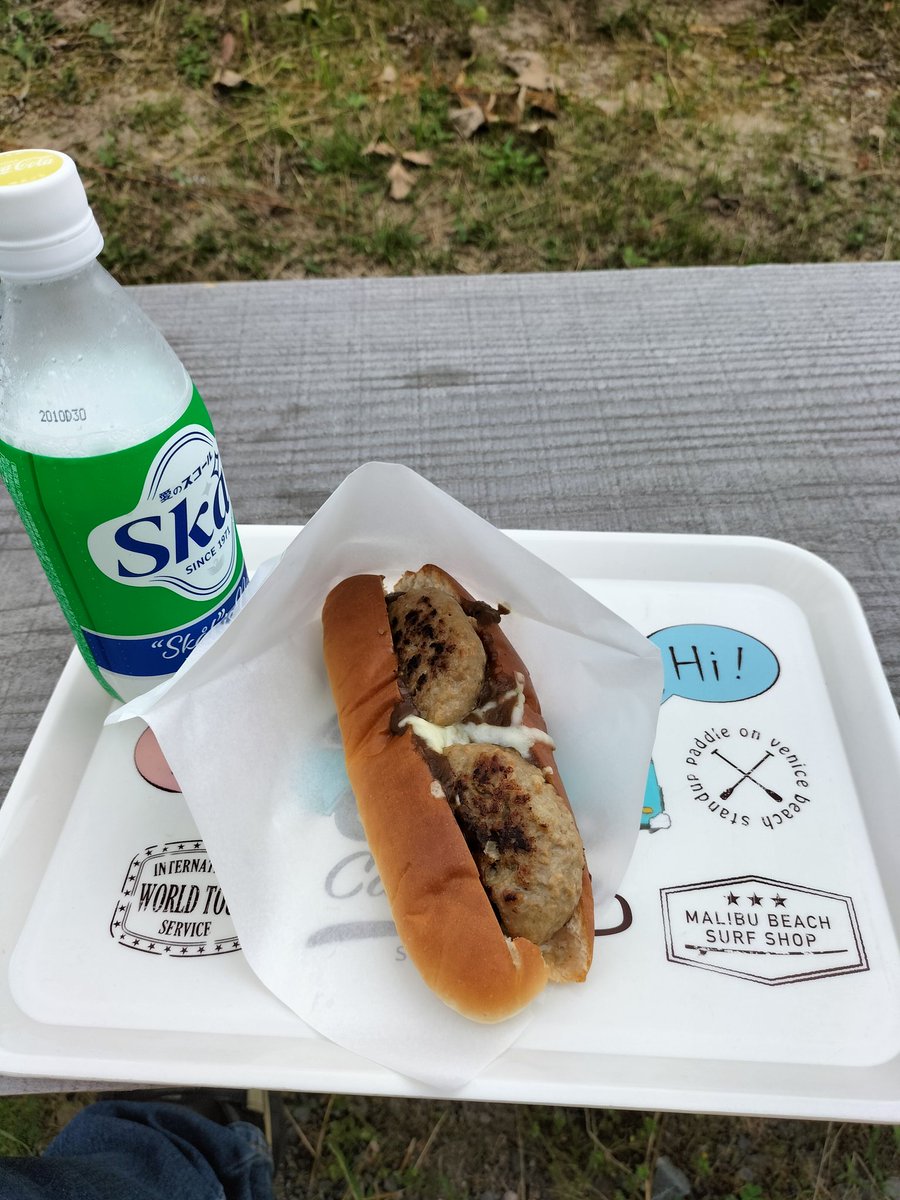 RETURN_HORNET's tweet image. #ホーネット250
2ヶ月振りに朝活ソロツーで
新規ルート開拓も兼ねて観音の滝へ
日本の滝百選らしく、いい感じだが
今は遊歩道が閉鎖されててちょっと
残念、帰りはいつものダム公園の
キッチンカーのホットドッグで〆