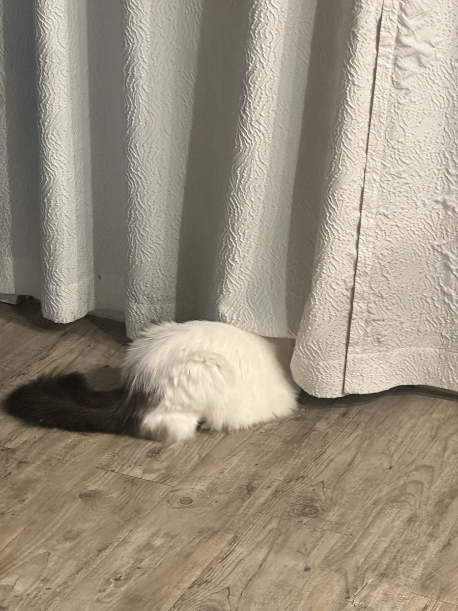 Frank secures the perimeter.