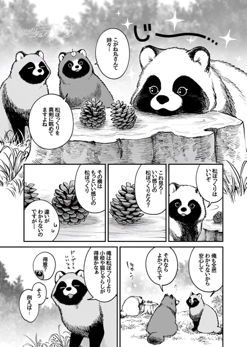 『お前、タヌキにならねーか? 』番外編 🍃
 https://t.co/V2cgIvkef8 
pixivコミックにて番外編・松ぼっくりのお話を更新しております。

松ぼっくりを真剣に眺めているこがね丸。
化けタヌキならではの使い道があるようだが…

よろしくお願いいたします! 