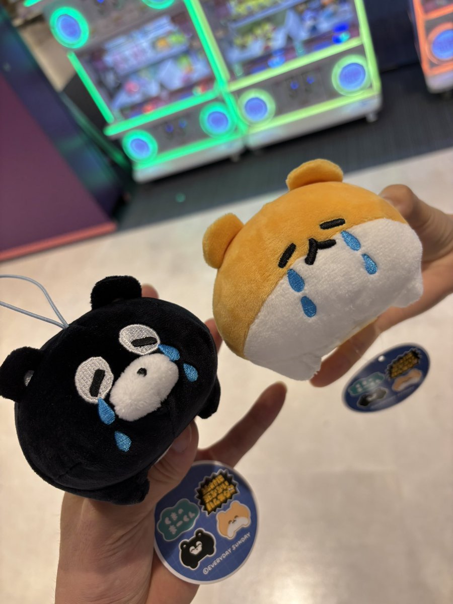 くしくし (@kushi_kushishi) / Posts / X