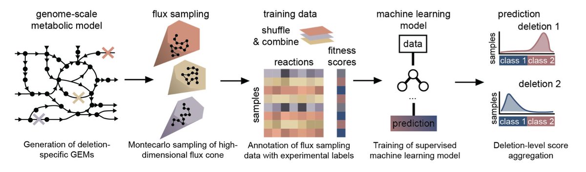 Accurate prediction of gene deletion phenotypes with Flux Cone Learning

１．This paper introduces Flux Cone Learning (FCL), a new machine learning framework for predicting gene deletion phenotypes by learning geometric features of metabolic spaces from genome-scale models. FCL