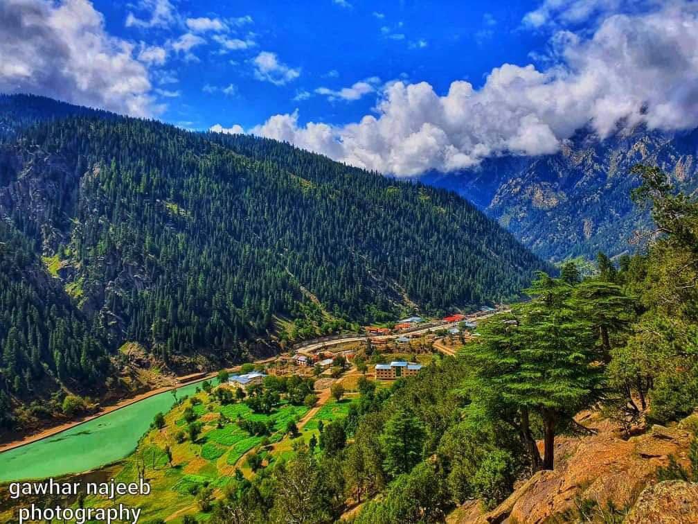 Masoumeh Nawrozi tweet media