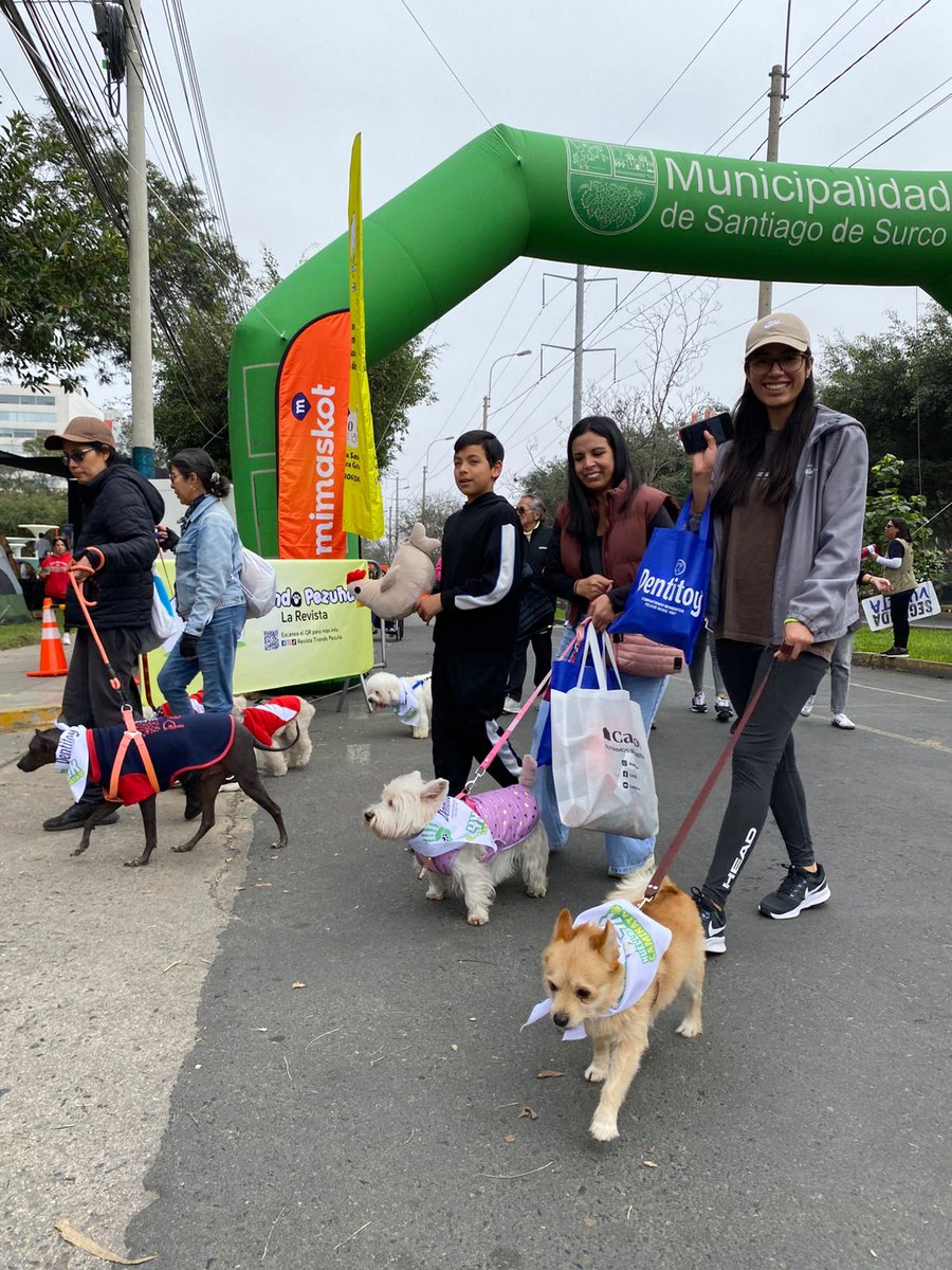 Este 20 de julio, celebra el Día del Perro caminando con tu mascota
bit.ly/4k1IBTK