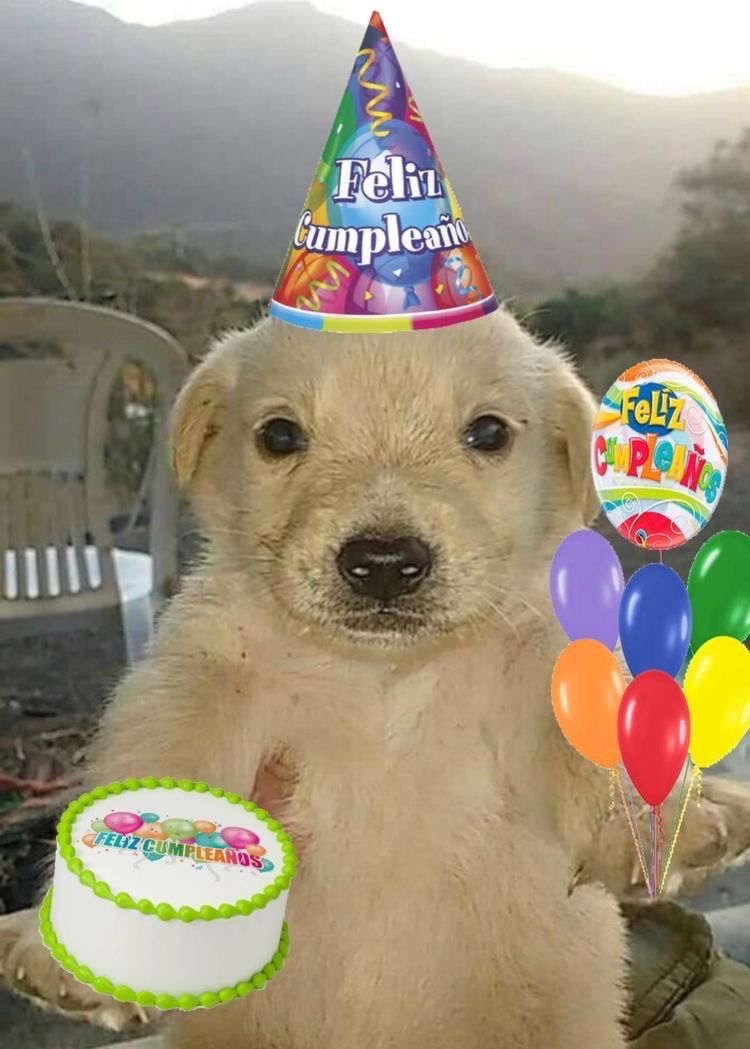 Hoje é aniversário de uma das admins do clube. 
Parabéns <a href="/sabsprfcts/">kali</a>, tudo de bom amiga, ficamos muito felizes de ter você no clube.
Aproveita muito o seu dia.
Ass: outras admins 🤍