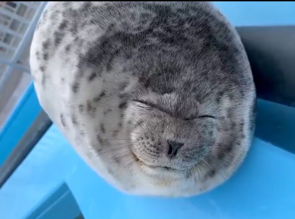 リザルト見た時の我。