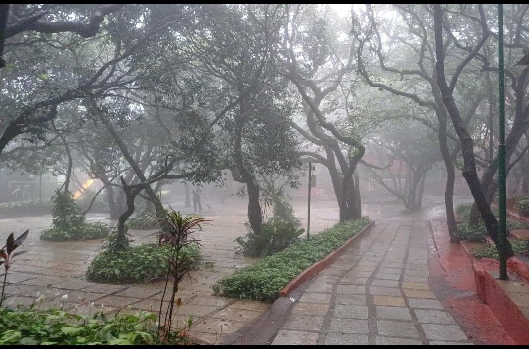 hushed_heart's tweet image. When the weather is singing a love song .......💙💙😍

#GoodMorning
#monsoonvibes