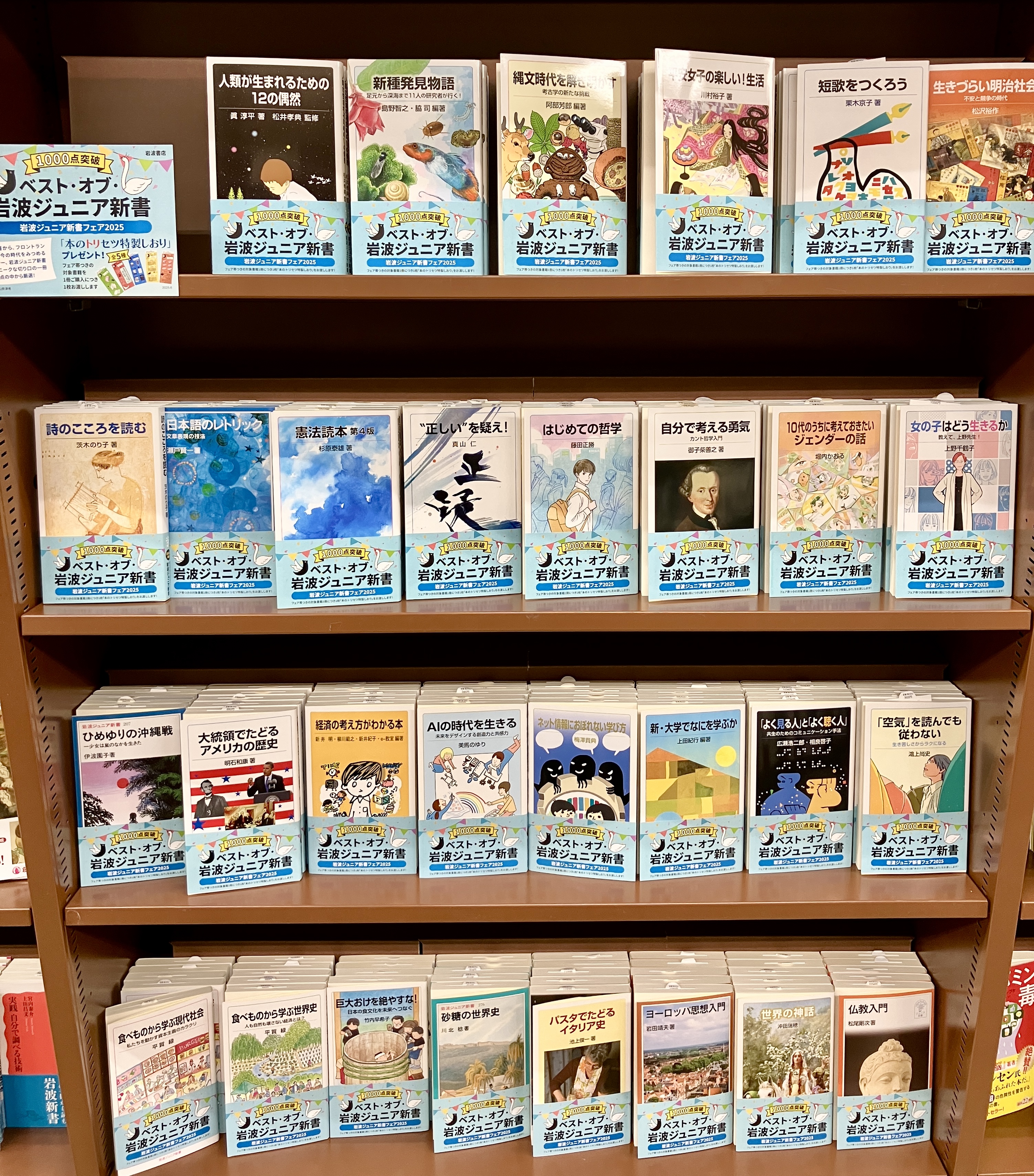 岩波ジュニア新書 47冊まとめ売り