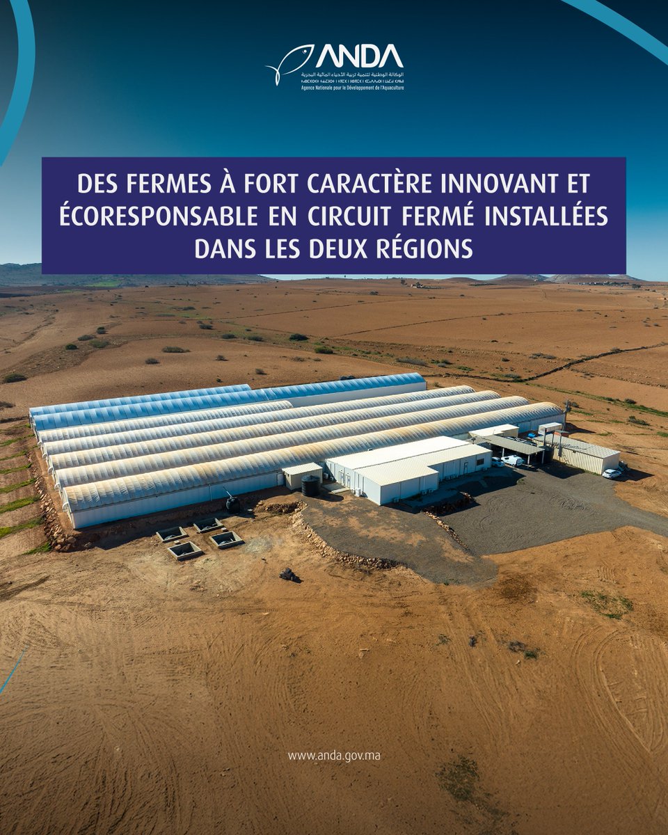 Dans les régions de Tanger-Tétouan-Al Hoceïma et Marrakech-Safi, des fermes d’élevage de crevettes se développent, contribuant activement à une économie bleue durable et à la croissance du secteur halieutique.

#tanger #tetouan #alhouceima #marrakech #safi #aquaculture #anda