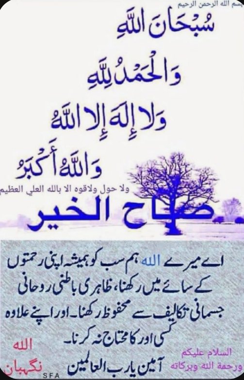 میرے پیارے محترم دوستوں 💞 
السلامُ علیکم و رحمت اللہ وبرکاتہ ✨،