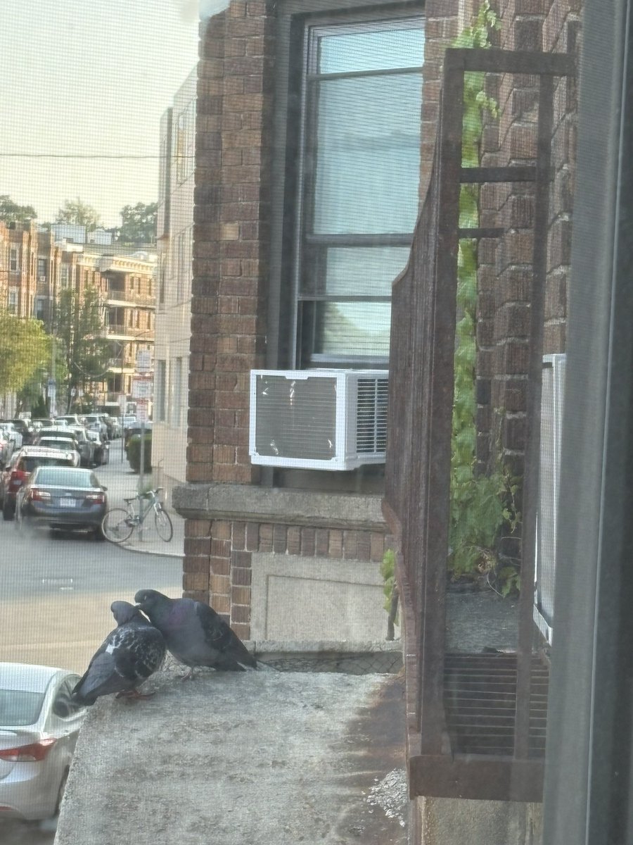 bro get a ROOM