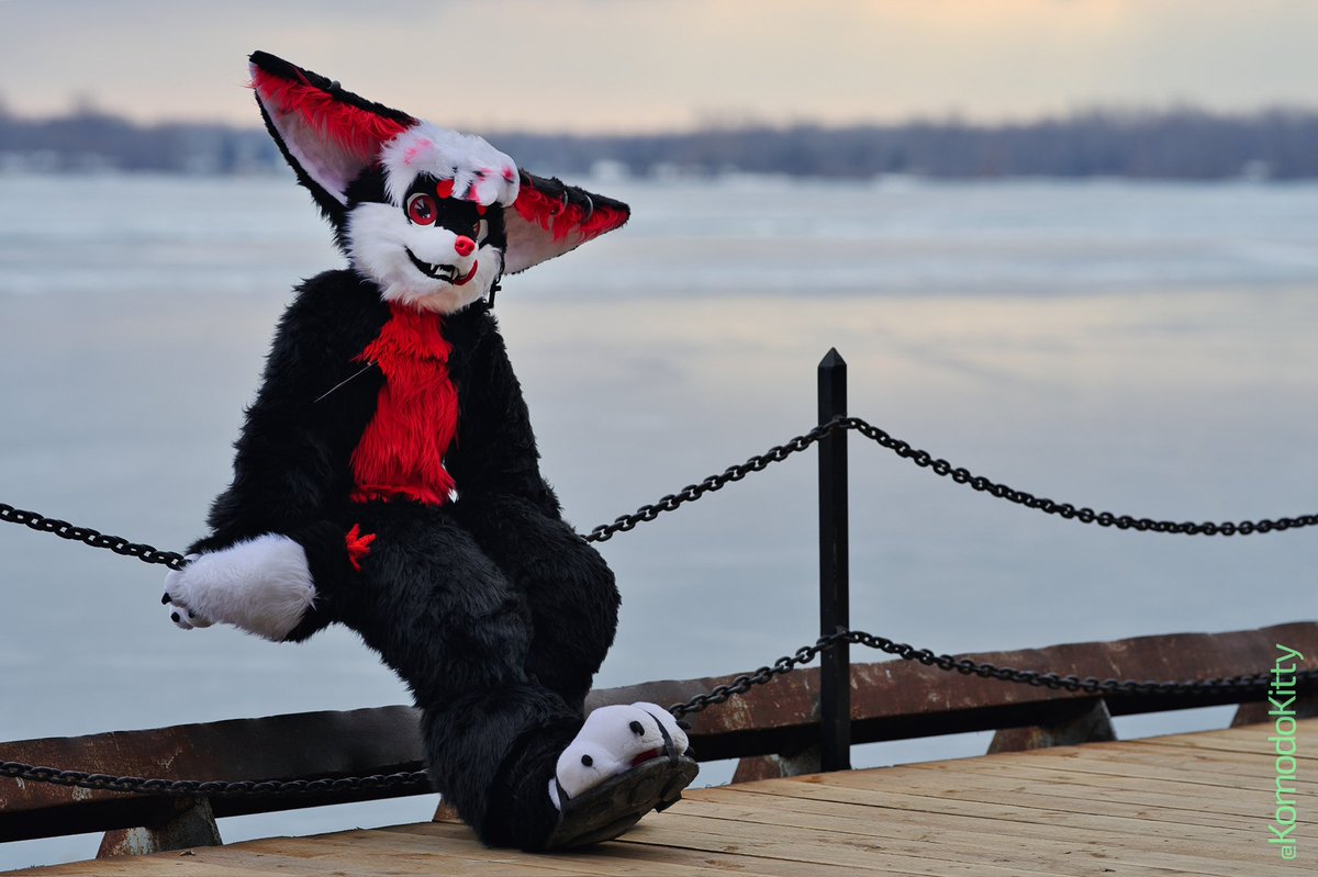 AngelTheFennec's tweet image. If I were to put Angel up for sale, how much would he be? (I would never ever sell my boy, this is for entertainment purposes or if things go south and is my last resort of income) I would say at least $7500+ USD
Fursuit parts: (all pictured except for arm sleeves)
- 1.0 and…