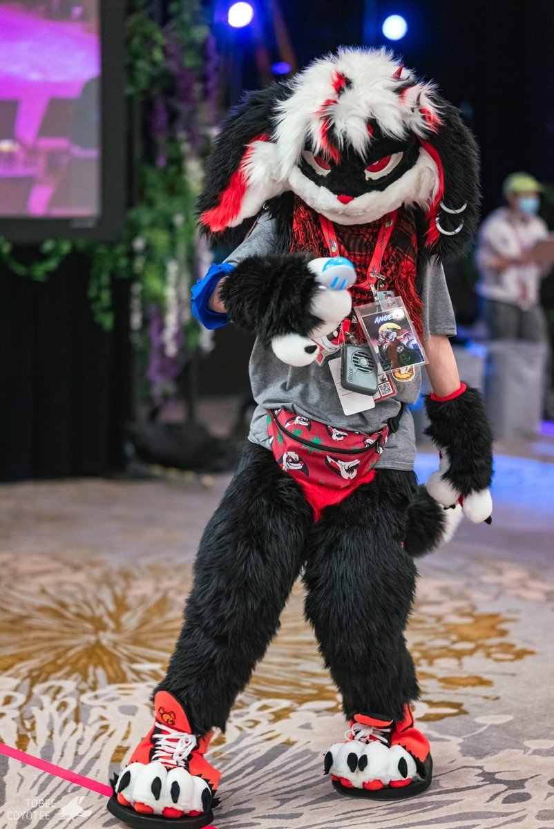 AngelTheFennec's tweet image. If I were to put Angel up for sale, how much would he be? (I would never ever sell my boy, this is for entertainment purposes or if things go south and is my last resort of income) I would say at least $7500+ USD
Fursuit parts: (all pictured except for arm sleeves)
- 1.0 and…