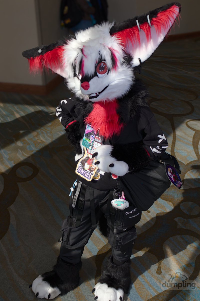 AngelTheFennec's tweet image. If I were to put Angel up for sale, how much would he be? (I would never ever sell my boy, this is for entertainment purposes or if things go south and is my last resort of income) I would say at least $7500+ USD
Fursuit parts: (all pictured except for arm sleeves)
- 1.0 and…