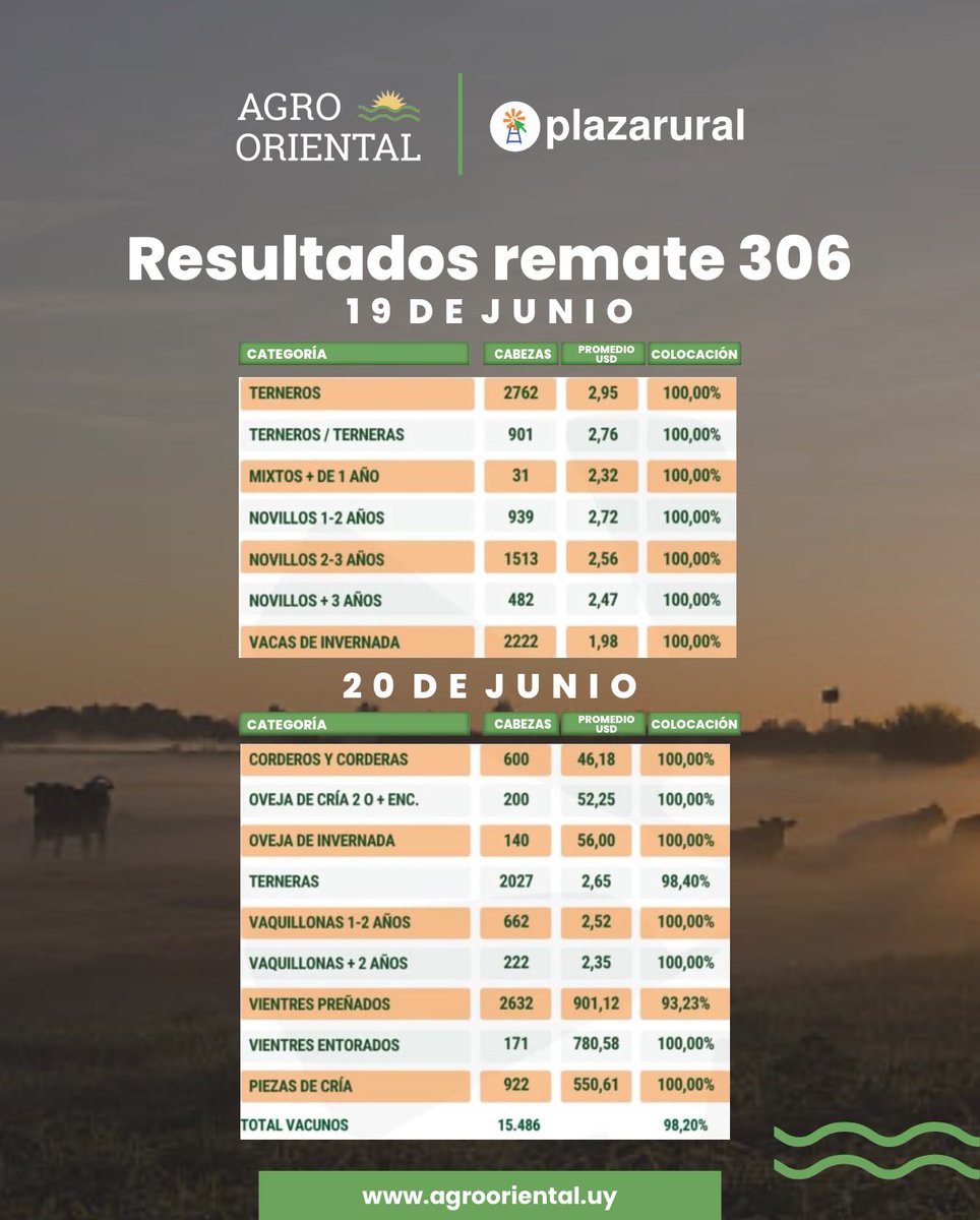 🔨 𝗥𝗘𝗠𝗔𝗧𝗘 𝟯𝟬𝟲 <a href="/plazarural/">plazarural</a>
Compartimos los resultados del día 19 de junio.

AgroOriental, una nueva forma de ver el campo.
📲 Por más info: agrooriental.uy