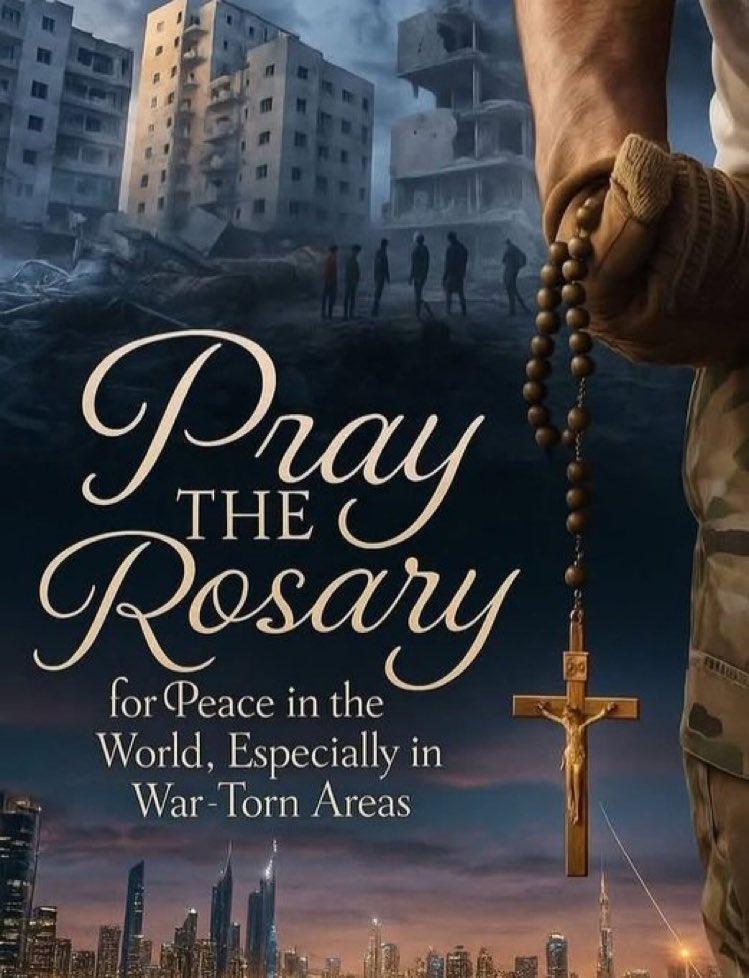 Kate Toomey (@katetoomey) on Twitter photo 