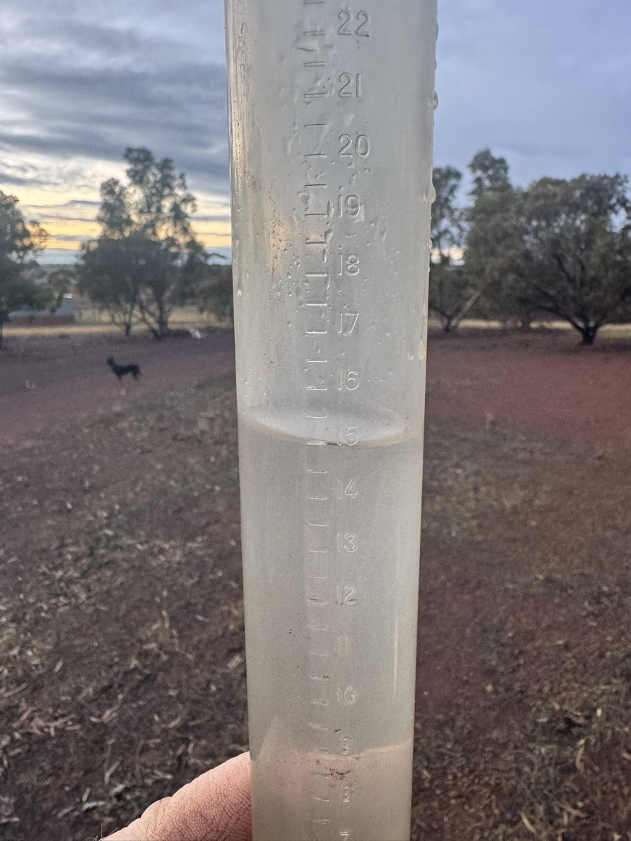 Thank God! Really needed this one and thought it missed us 🙌