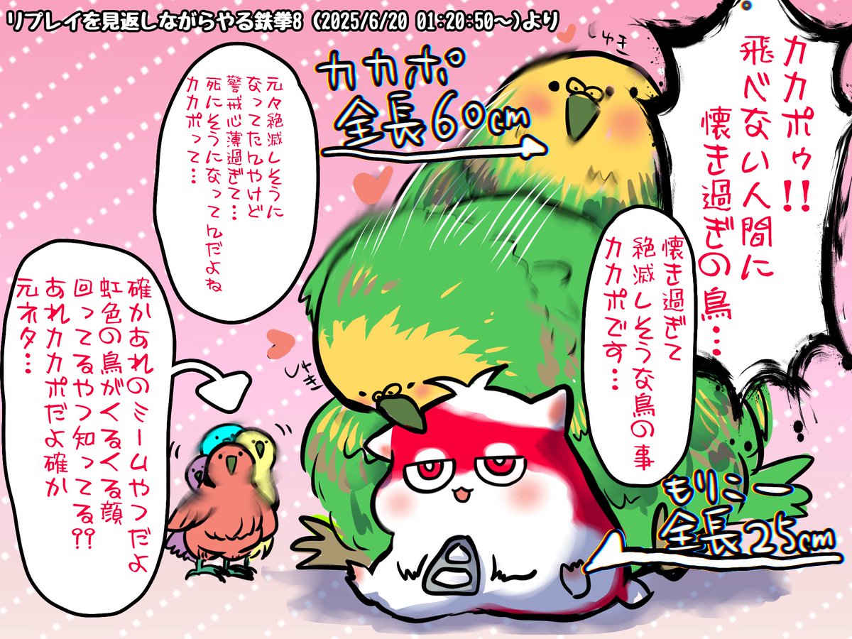 #もりたかーと
あれってカカポだったの?!?! 