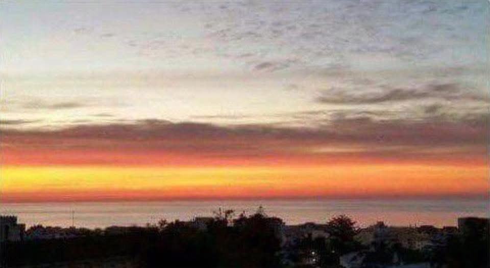 Edu Poveda tweet media