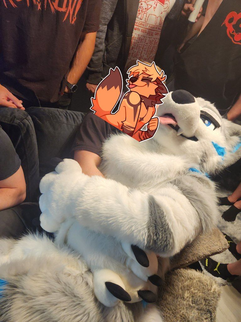 Damon 💨 EDC Vegas (@damonxwolfe) on Twitter photo I double as a throw pillow only with more awoo
And <a href="/ronnoyeen/">Ronno👉Megaplex</a> is about to throw.
📸 <a href="/WildShepBrol/">Brol 🔜PogoNJ/Megaplex</a> I double as a throw pillow only with more awoo
And <a href="/ronnoyeen/">Ronno👉Megaplex</a> is about to throw.
📸 <a href="/WildShepBrol/">Brol 🔜PogoNJ/Megaplex</a>
