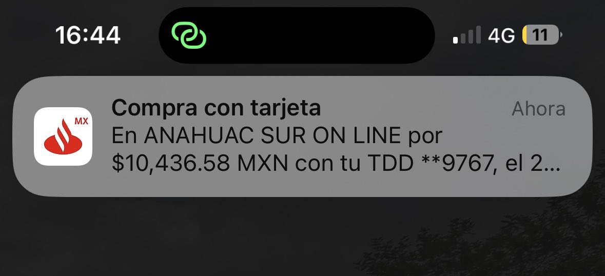 ramondiaz988's tweet photo. Fue muy arriesgado, pero ahí vamos 🥹🥹 https://t.co/uGLRJLvjHo