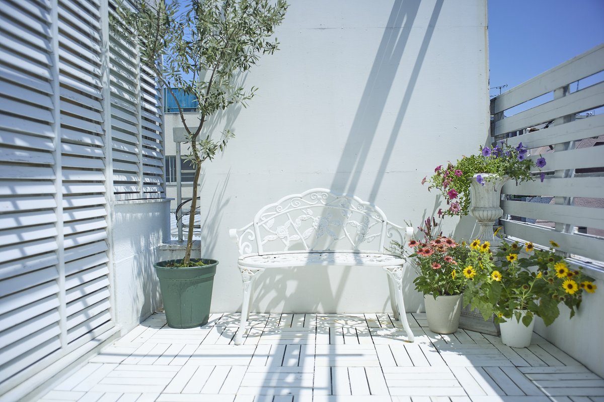 撮影時間30分無料キャンペーン 期間: 7月31日まで  対象: 4時間以上のスチール/ムービー撮影  特典: 30分無料延長（例: 4時間→4.5時間）  スタジオ: STUDIO MOOD / STUDIO GREIGE  限定: 先着15組  コード: X割りを見た（予約時備考欄に入力）  予約 MOOD: mood-studio.tokyo/reservation GREIGE: