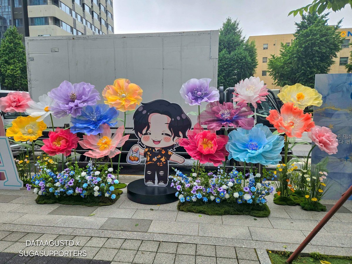 DataAgustD's tweet photo. 🌸 Our ROAD TO #SUGA Blooming Flower Path is being set up and will be open for viewing today.

The excitement is building. We can’t wait for it to be finished! 🥹💕

WELCOME BACK YOONGI
OUR LOTUS FLOWER BLOOMS AGAIN
#DDAY_SUGAisBACK #BTSSUGA 
#방탄소년단슈가 #슈가 #AgustD #SUGA https://t.co/xAqHN5dcTL