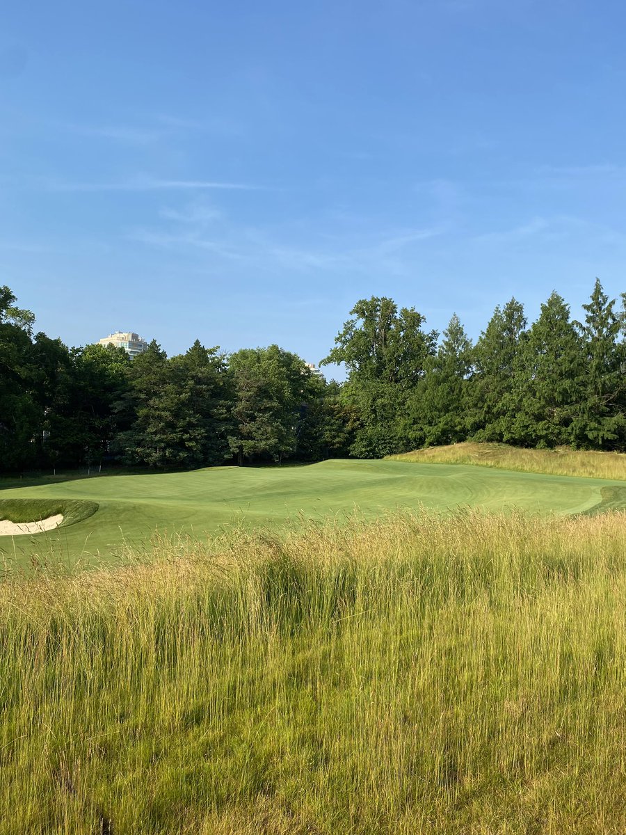 HoltGeorge7's tweet photo. Fine fescue coming to life…17 days to go⏳ https://t.co/sB5Ybg4zCg