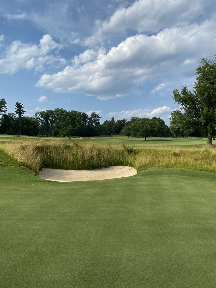 HoltGeorge7's tweet photo. Fine fescue coming to life…17 days to go⏳ https://t.co/sB5Ybg4zCg