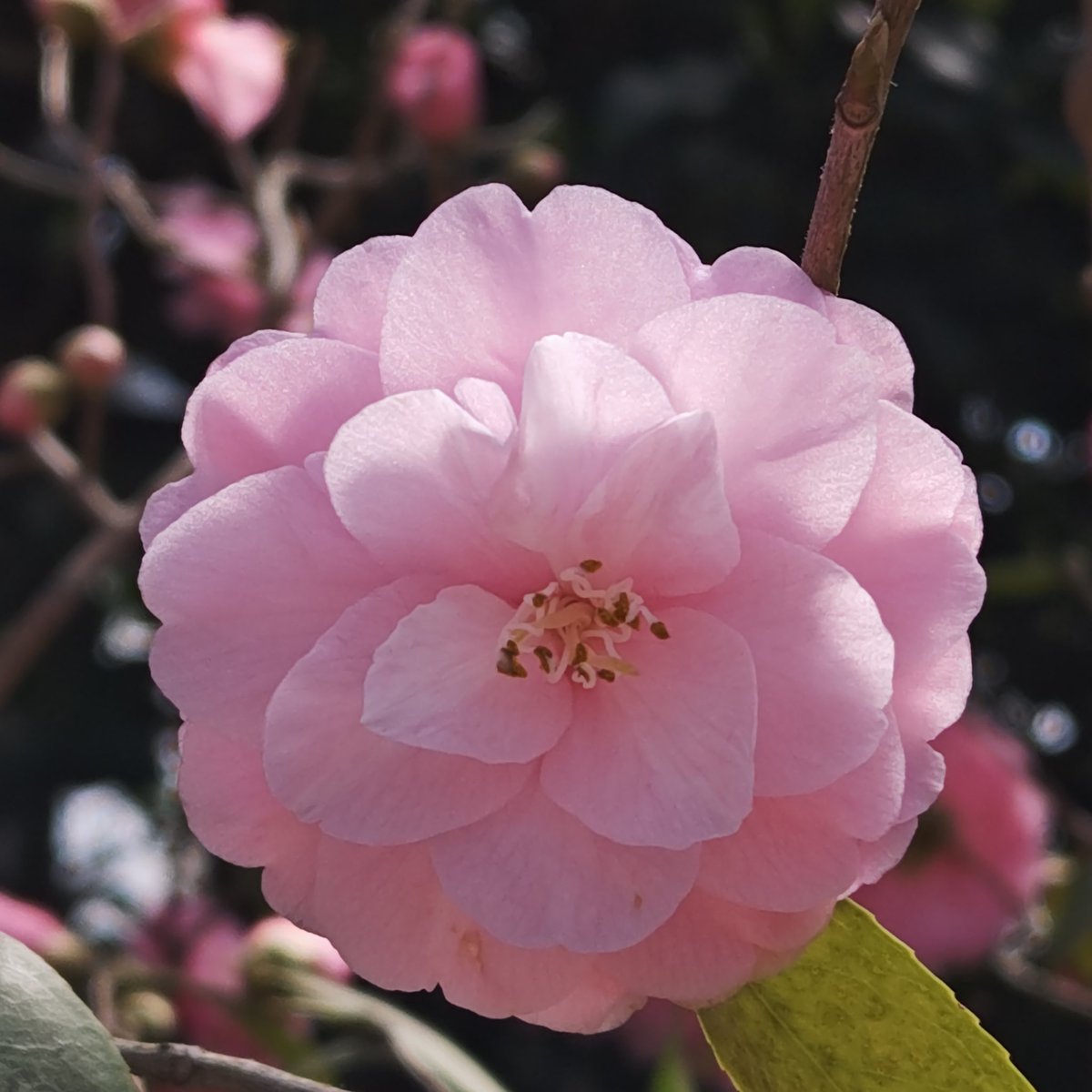 おはようございます♪
よろしくお願いいたします☆
フォロー頂いた方には、エロ垢以外、返しています。