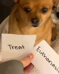 restocking on all of my skincare and makeup products and the total was so much worse than i feared