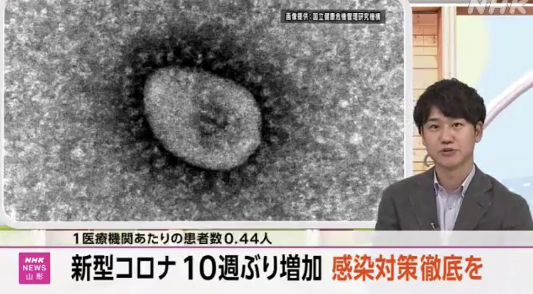 選挙で新コロのウソとかワクチンのウソとか暴露されるから、また意味のないPCRの感染者数で煽りだした。さすがにネット層はもうひっかからないと思うが、見てないテレビ層はきついか？